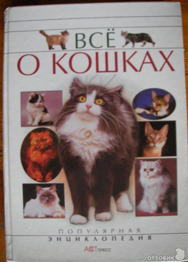 Скачать книгу все о кошках