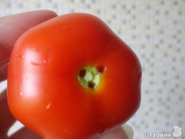 Рецепт Маринованные помидоры с морковной ботвой фото