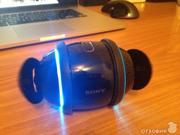 Rolly Sony  -  10